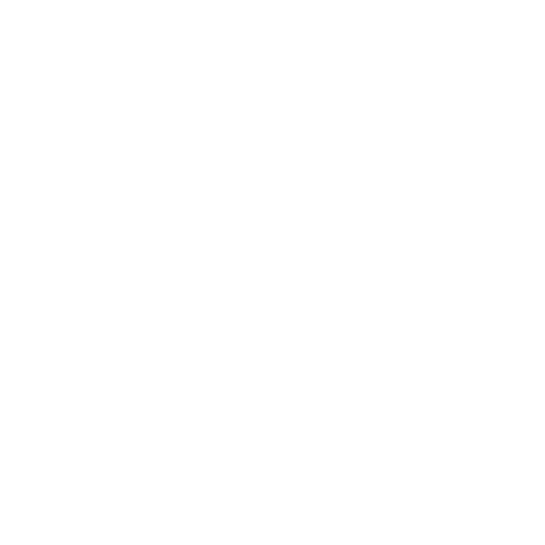 logo light